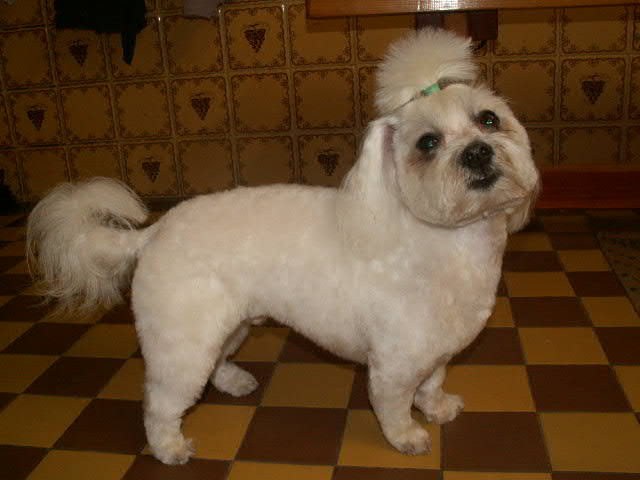 Milotice 107.jpg
