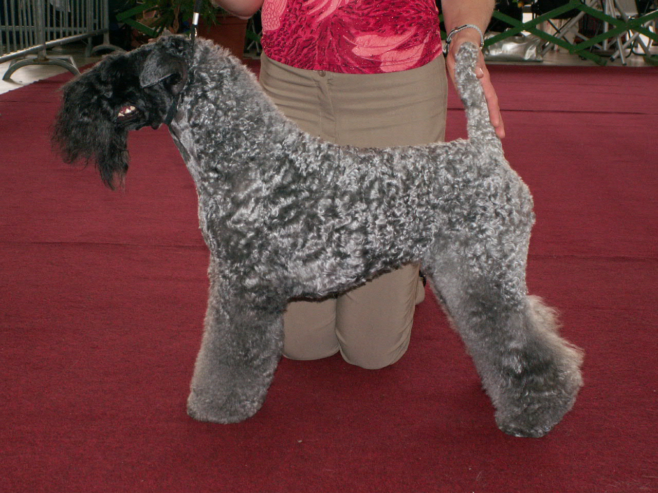 Intercanis 230707 015.jpg