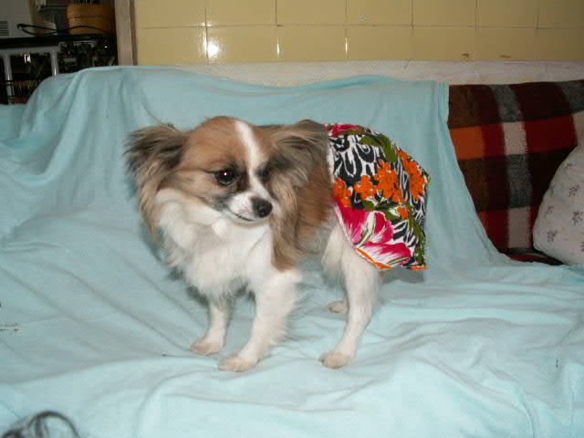 Dolinka a Airin 006.jpg